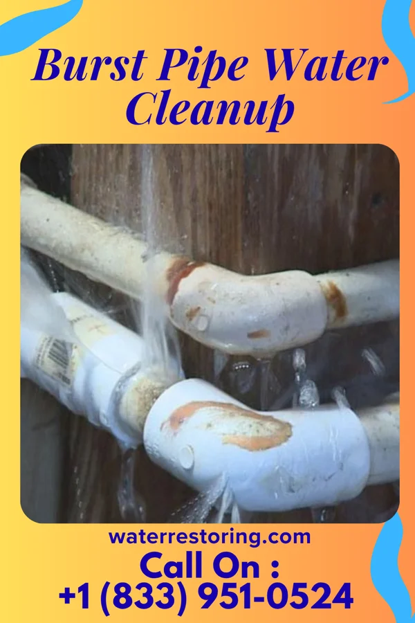 Burst Pipe Water Cleanup in Upland, PA