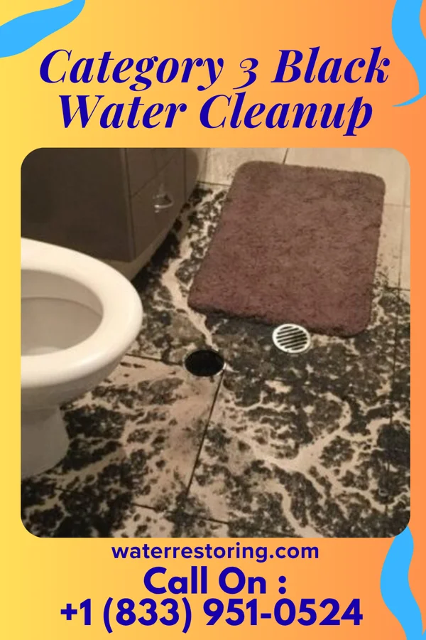 Category 3 Black Water Cleanup in Upland, PA