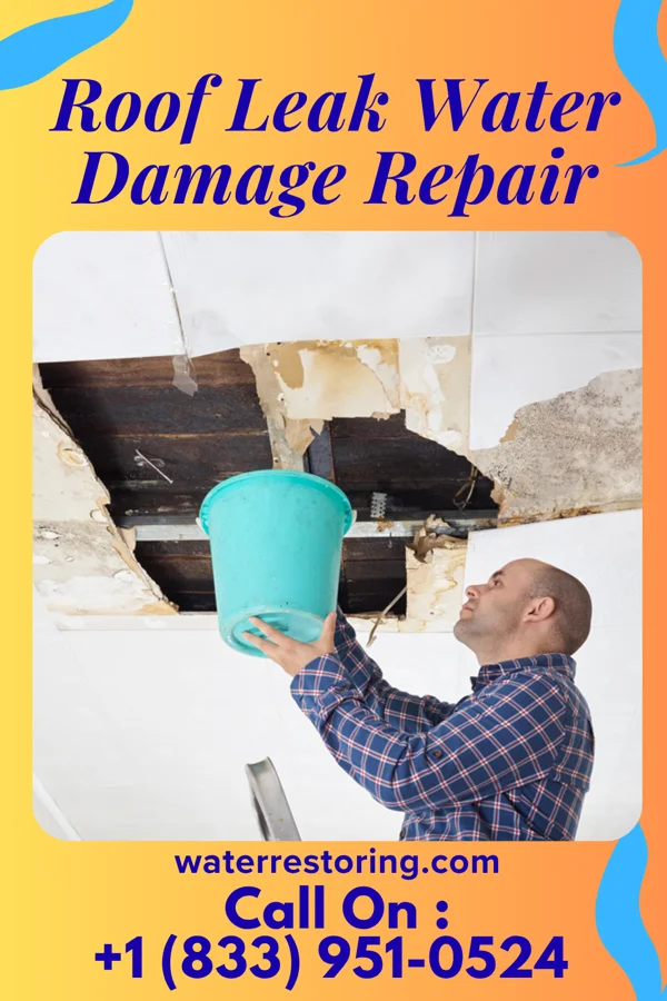 Roof Leak Water Damage Repair in Upland, PA