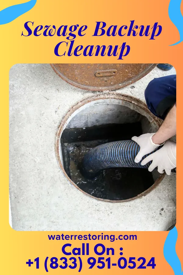 Sewage Backup Cleanup in Upland, PA