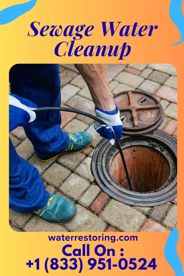 Sewage Water Cleanup in Upland, PA