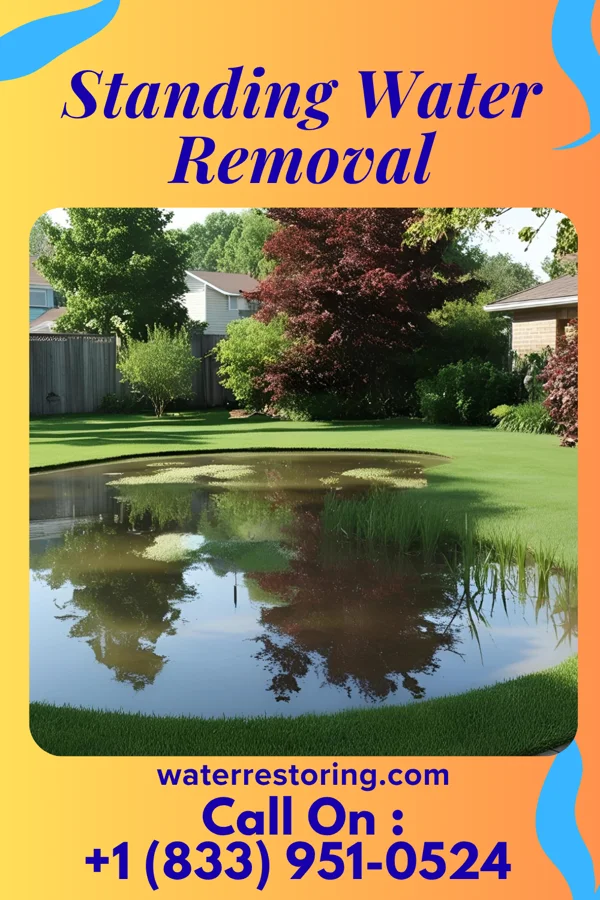 Standing Water Removal in Upland, PA